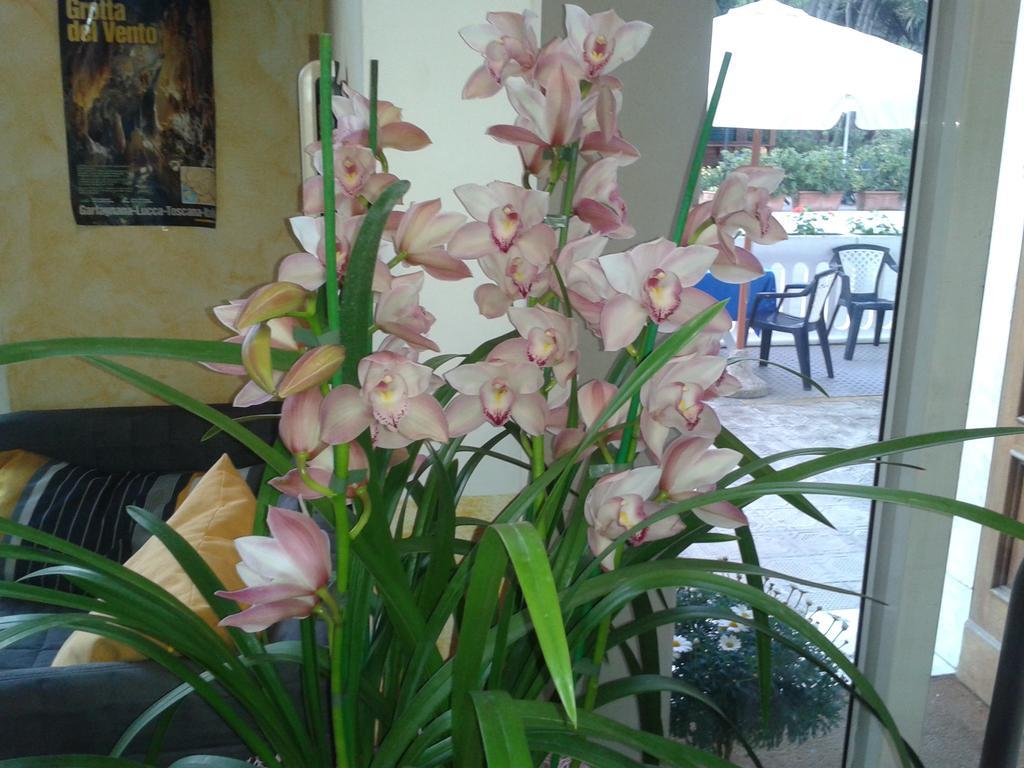 Hotel Sogno เวียเรจโจ ภายนอก รูปภาพ