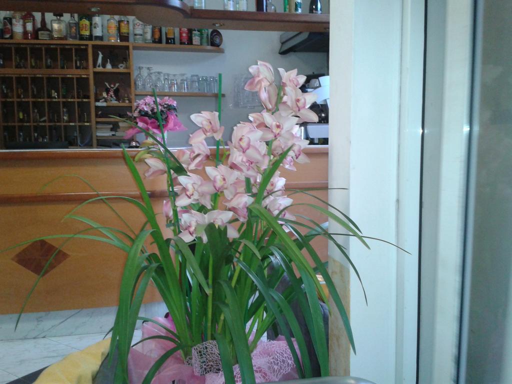 Hotel Sogno เวียเรจโจ ภายนอก รูปภาพ